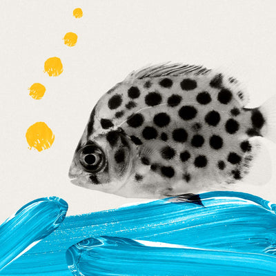 What's That Dark Spot on Your Face?