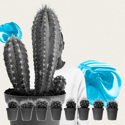 Get Control Over Your Itchy Scalp